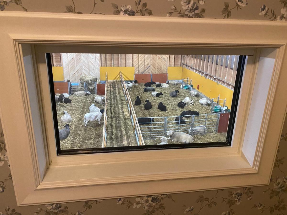 Newly Built Apartment Next Door To The Sheep Norrfjarden Dış mekan fotoğraf